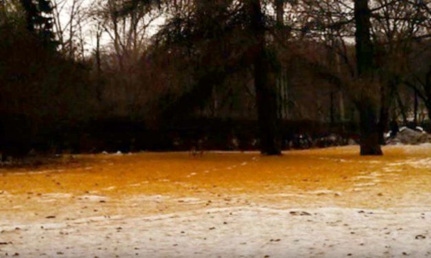 Fenomen meteo. Gerul din următoarele zile ar putea aduce în România zăpadă portocalie
