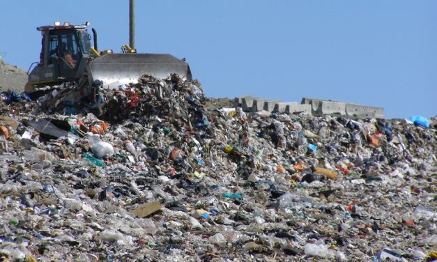 Parlamentul European propune legi stricte de depozitare a deșeurilor în toate statele membre UE