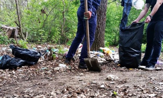 Raportul campaniei „Curățăm Constanța Noastră“: au fost colectate 900 de tone de deșeuri