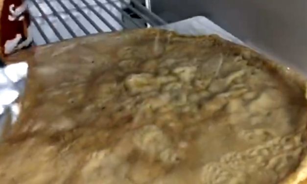 VIDEO Pizzerii închise la Constanța, după ce au fost descoperite ingrediente expirate