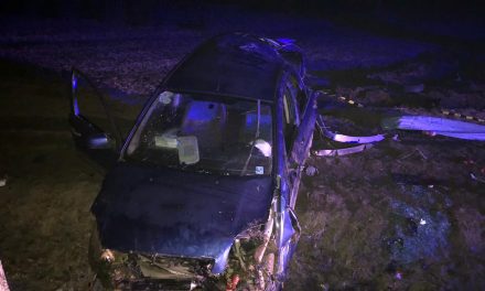 Accident rutier mortal în județul Constanța. A intrat cu mașina în copac din cauza vitezei