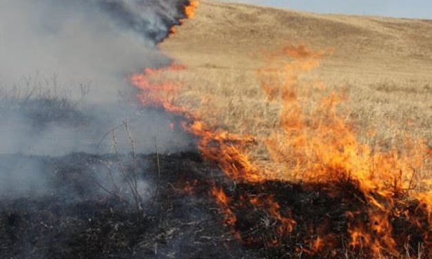 Pentru a preveni incendiile, Primăria Cernavodă anunță interzicerea arderii nesupravegheate a vegetației uscate