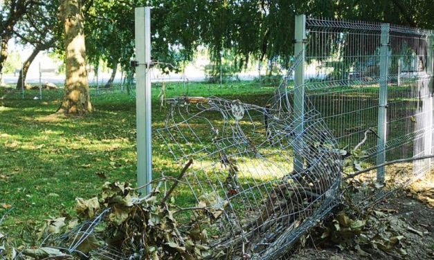 La o săptămână de la inaugurare, țarcurile pentru câini din Parcul Tăbăcărie au fost vandalizate