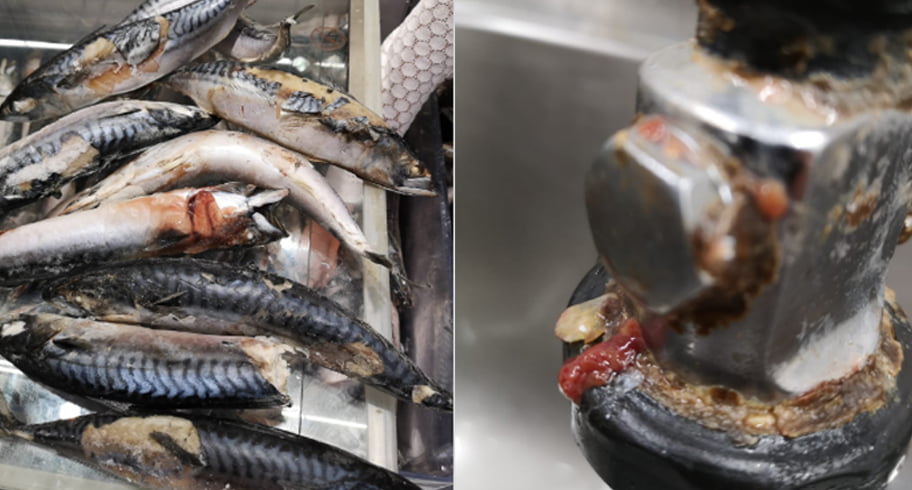 Dezastru în Carrefour: carne expirată, pește stricat, clienți înșelați. ANPC vrea să închidă două hipermarketuri