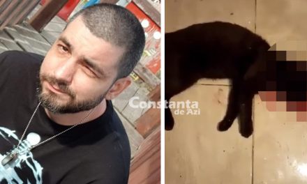 Dosar penal, după ce un constănțean a omorât o pisică pentru a se răzbuna pe fosta prietenă