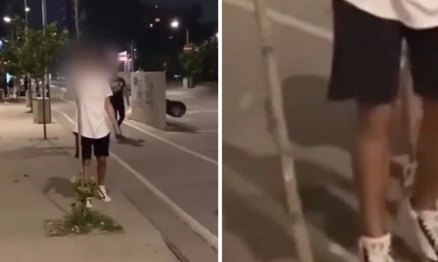 VIDEO. Un tânăr rupe un copăcel din Mamaia și râde în hohote. Primăria va depune plângere la Poliție