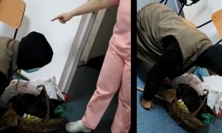 VIDEO. Medic și asistentă, amendați după ce au lăsat un bărân să agonizeze pe holul unui spital