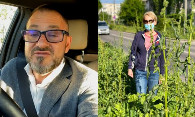 Horia Constantinescu spune că nu e treaba Primăriei să tundă iarba din jurul blocurilor